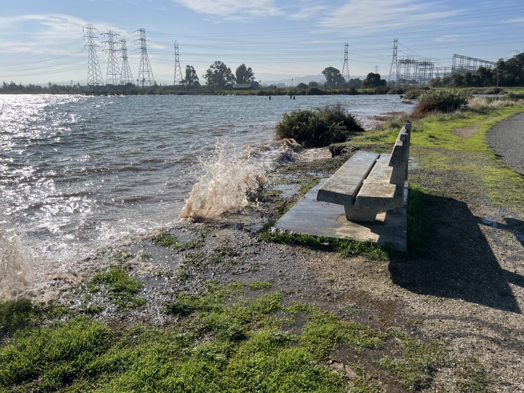 Coyote Point bench flooding